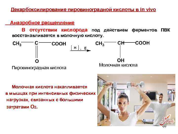 Презентация на тему молочная кислота