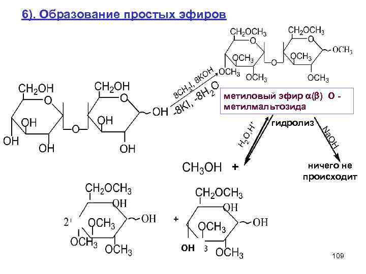 6). Образование простых эфиров метиловый эфир ( ) О - метилмальтозида гидролиз + ничего
