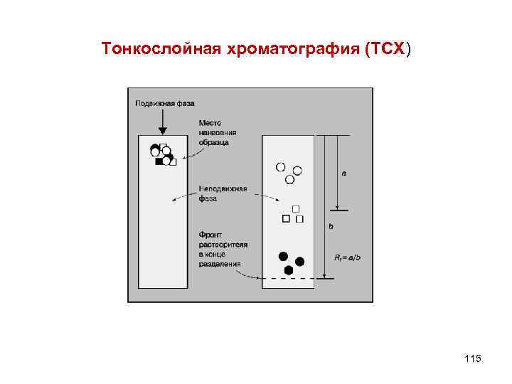 Тонкослойная хроматография (ТСХ) 115 