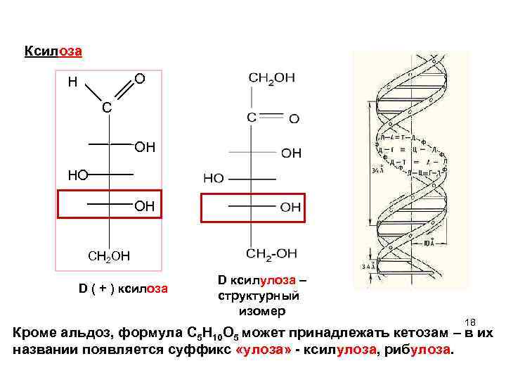  Ксилоза O H C ОH НO OН СН 2 ОН D ( +