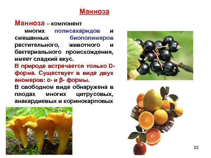 Манноза – компонент многих полисахаридов и смешанных биополимеров растительного, животного и бактериального происхождения, имеет