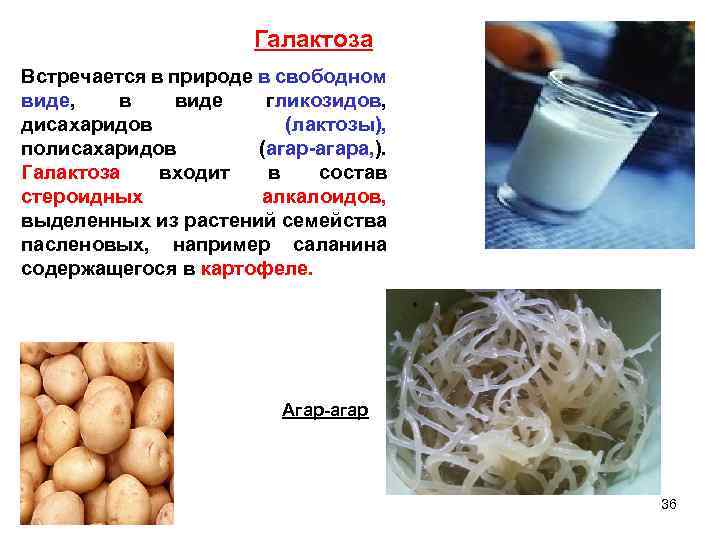 Галактоза Встречается в природе в свободном виде, в виде гликозидов, дисахаридов (лактозы), полисахаридов (агар-агара,
