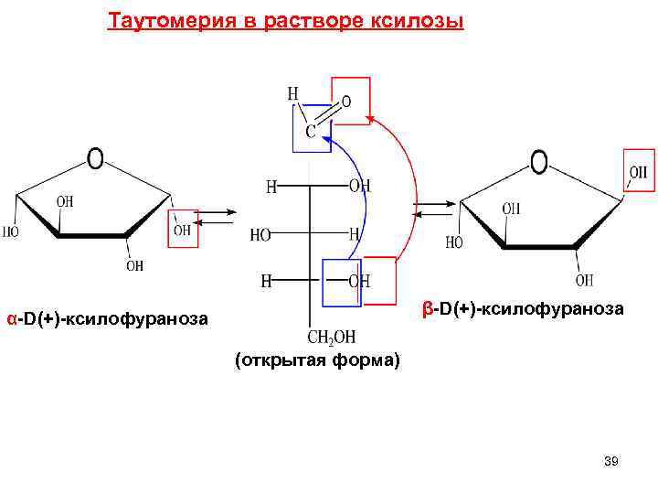 Открытая форма