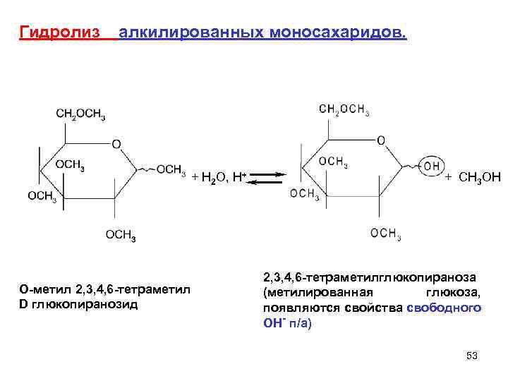 Гидролиз алкилированных моносахаридов. + H 2 O, H+ O-метил 2, 3, 4, 6 -тетраметил
