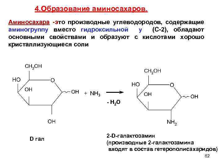 4. Образование аминосахаров. Аминосахара -это производные углеводородов, содержащие аминогруппу вместо гидроксильной у (С-2), обладают