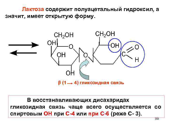 Лактоза содержит полуацетальный гидроксил, а значит, имеет открытую форму. (1 4) гликозидная связь В