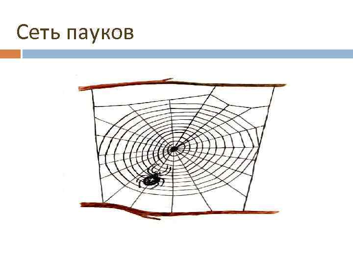 Сеть пауков 