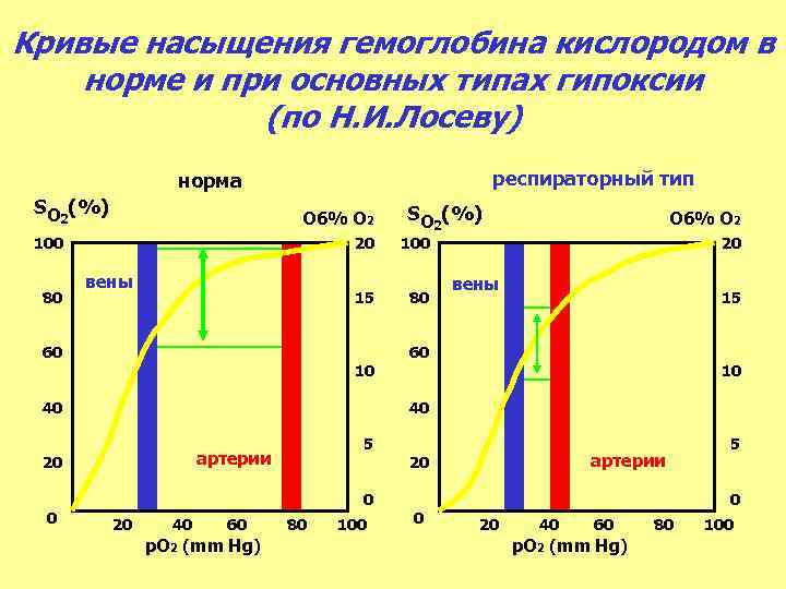 Кривые насыщения гемоглобина кислородом в норме и при основных типах гипоксии (по Н. И.