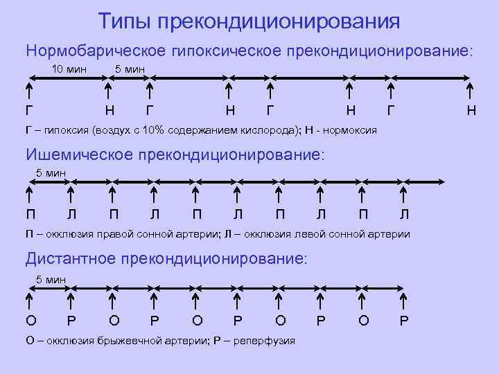 Типы прекондиционирования Нормобарическое гипоксическое прекондиционирование: 10 мин Г 5 мин Н Г Н Г