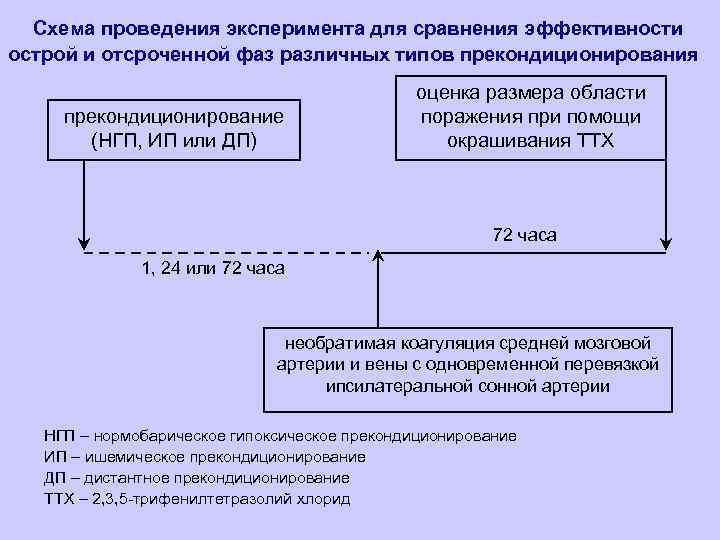 Схема проведения эксперимента для сравнения эффективности острой и отсроченной фаз различных типов прекондиционирования прекондиционирование