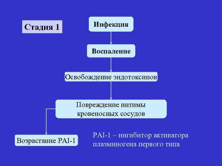 Инфекция Стадия 1 Воспаление Освобождение эндотоксинов Повреждение интимы кровеносных сосудов Возрастание PAI-1 – ингибитор