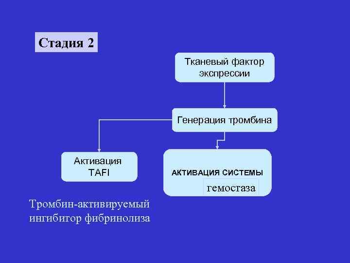 Стадия 2 Тканевый фактор экспрессии Генерация тромбина Активация TAFI АКТИВАЦИЯ СИСТЕМЫ гемостаза Тромбин-активируемый ингибитор