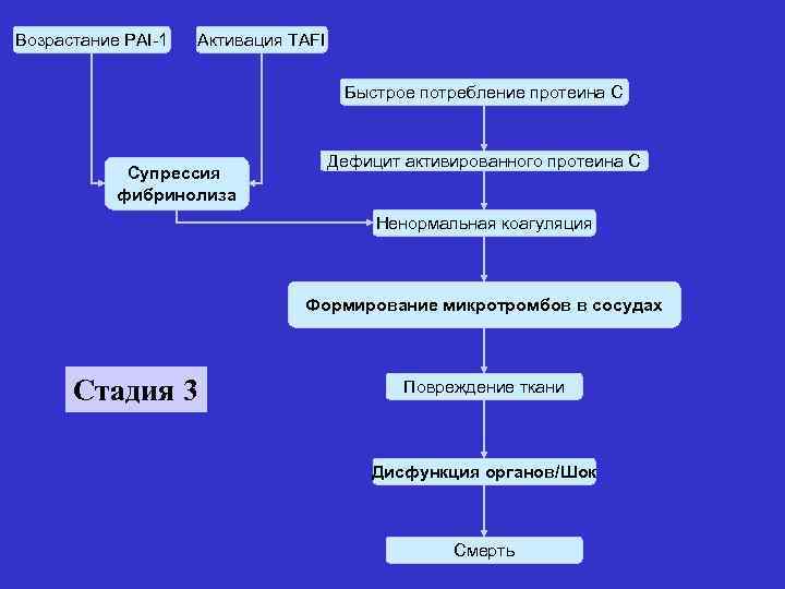 Возрастание PAI-1 Активация TAFI Быстрое потребление протеина С Супрессия фибринолиза Дефицит активированного протеина С