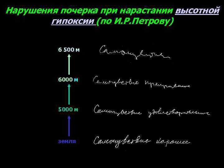 Нарушения почерка при нарастании высотной гипоксии (по И. Р. Петрову) 6 500 м 6000