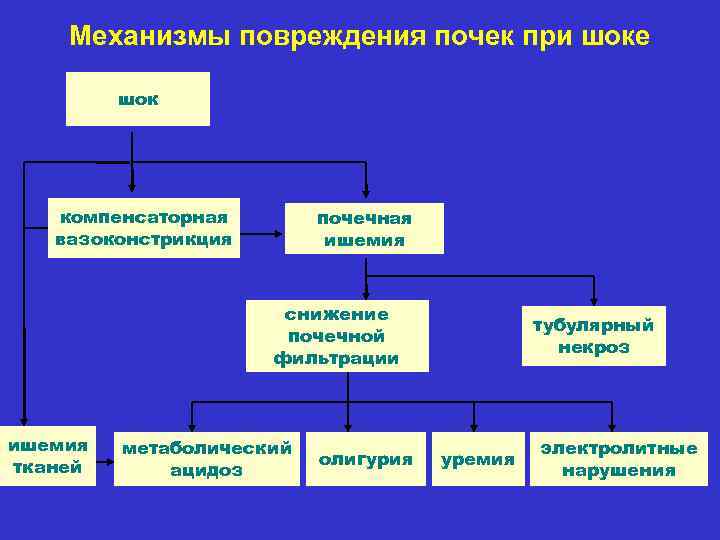 Руководство по системам и схемами