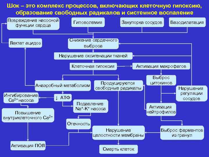 Комплекс процессов. Патогенез гипоксии плода схема. Патоморфологические процессы венохного тромьоза схема. Алгоритм диагностики гипоксии. Методы диагностики гипоксии остром и восстановительном периоде.