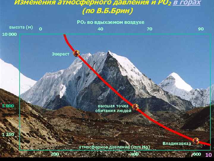 Изменения атмосферного давления и РО 2 в горах (по В. Б. Брин) высота (м)