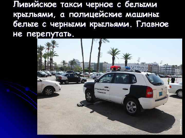 Ливийское такси черное с белыми крыльями, а полицейские машины белые с черными крыльями. Главное