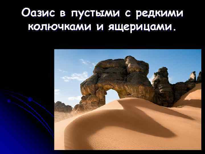 Оазис в пустыми с редкими колючками и ящерицами. 