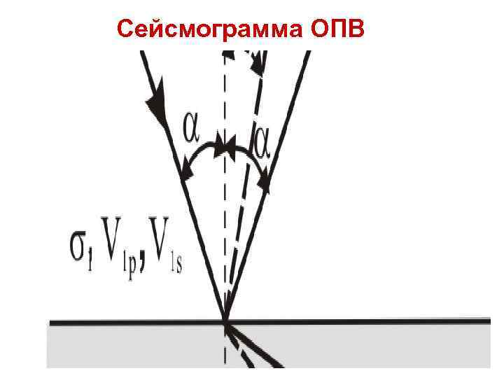 Сейсмограмма ОПВ Сейсмограмма ОПВ