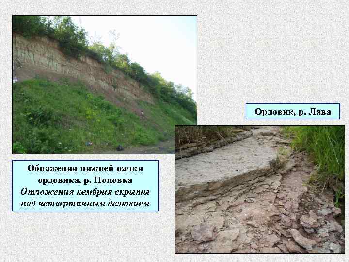 Ордовик, р. Лава Обнажения нижней пачки ордовика, р. Поповка Отложения кембрия скрыты под четвертичным
