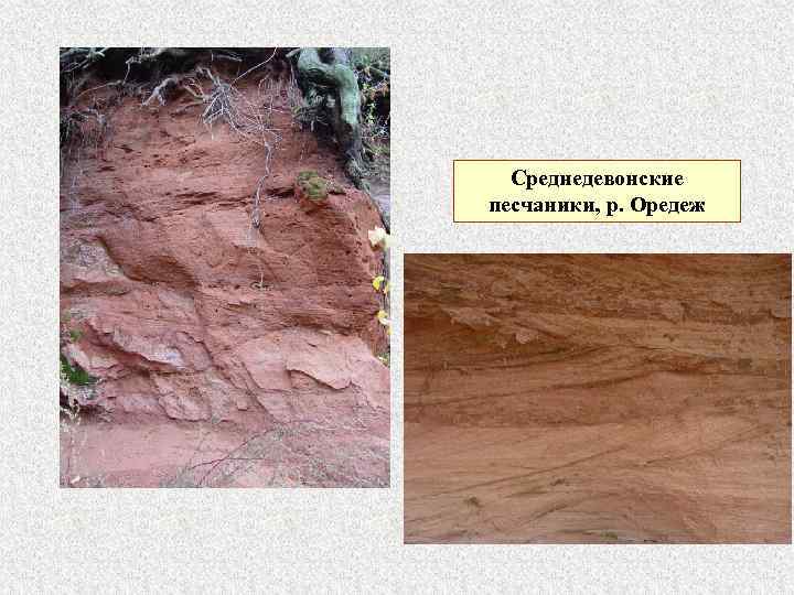 Среднедевонские песчаники, р. Оредеж 