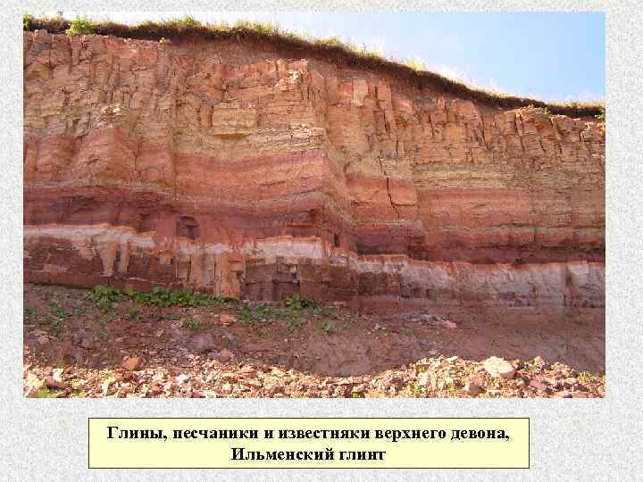 Глины, песчаники и известняки верхнего девона, Ильменский глинт 