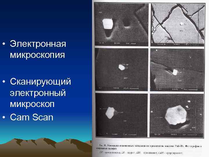  • Электронная  микроскопия  • Сканирующий  электронный  микроскоп • Cam