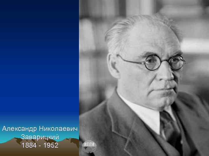 Александр Николаевич Заварицкий 1884 - 1952 
