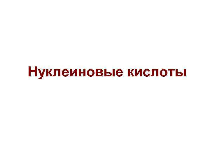 Нуклеиновые кислоты 