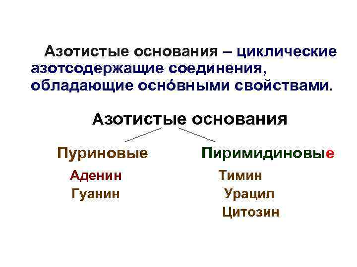  Азотистые основания – циклические азотсодержащие соединения, обладающие оснóвными свойствами.   Азотистые основания