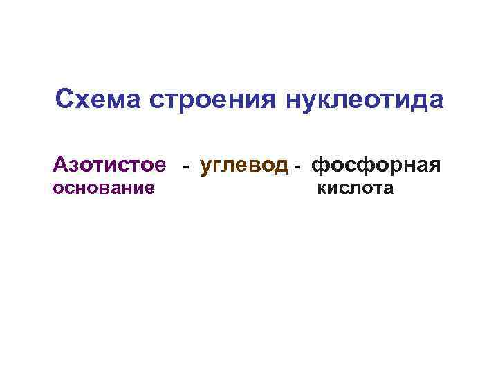 Схема строения нуклеотида Азотистое - углевод - фосфорная основание  кислота 
