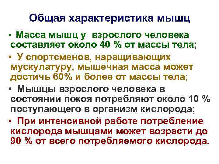 Общая характеристика мышц • Масса мышц у взрослого человека составляет около 40 Общая характеристика мышц • Масса мышц у взрослого человека составляет около 40