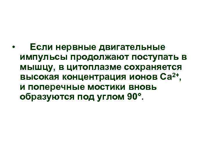 • Если нервные двигательные импульсы продолжают поступать в мышцу, в цитоплазме сохраняется высокая • Если нервные двигательные импульсы продолжают поступать в мышцу, в цитоплазме сохраняется высокая