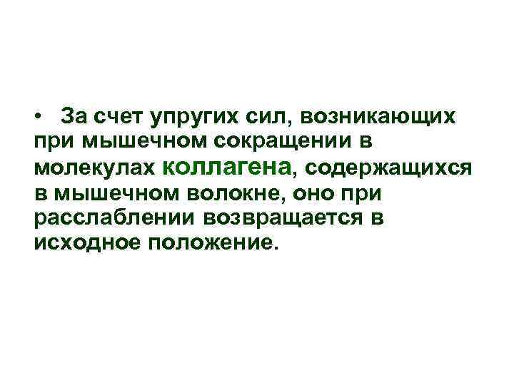 • За счет упругих сил, возникающих при мышечном сокращении в молекулах коллагена, содержащихся • За счет упругих сил, возникающих при мышечном сокращении в молекулах коллагена, содержащихся