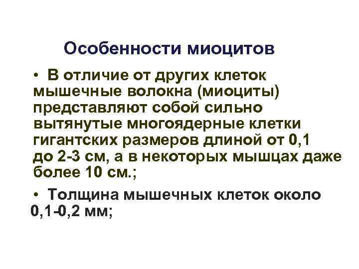 Особенности миоцитов • В отличие от других клеток мышечные волокна (миоциты) представляют Особенности миоцитов • В отличие от других клеток мышечные волокна (миоциты) представляют
