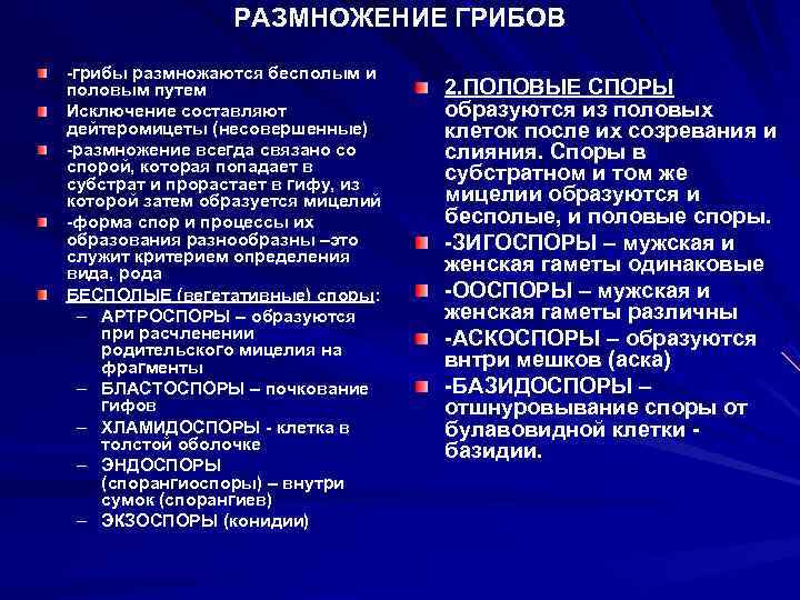     РАЗМНОЖЕНИЕ ГРИБОВ -грибы размножаются бесполым и половым путем  