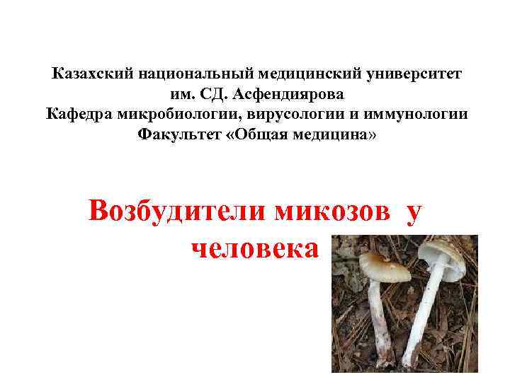 Казахский национальный медицинский университет   им. СД. Асфендиярова Кафедра микробиологии, вирусологии и иммунологии