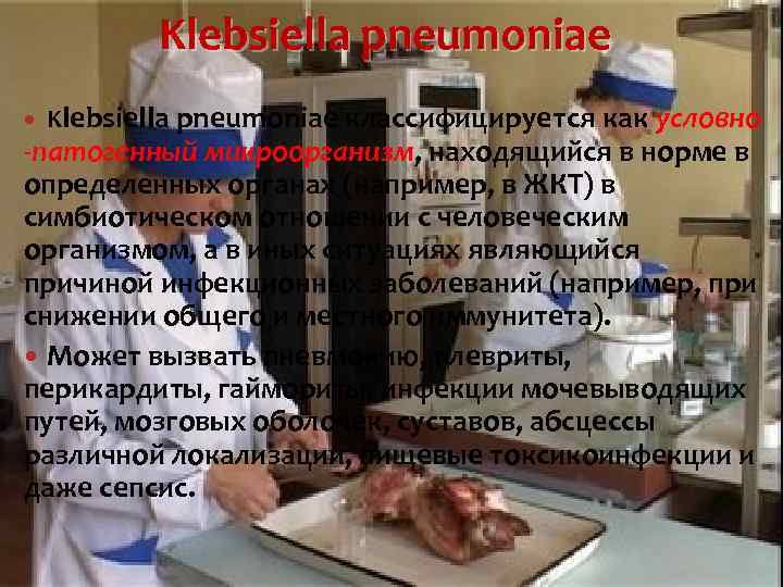   Klebsiella pneumoniae классифицируется как условно -патогенный микроорганизм, находящийся в норме в определенных