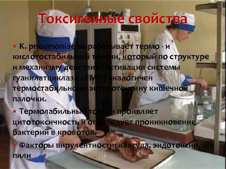  Токсигенные свойства  K. pneumoniae вырабатывает термо - и кислотостабильный токсин, который по