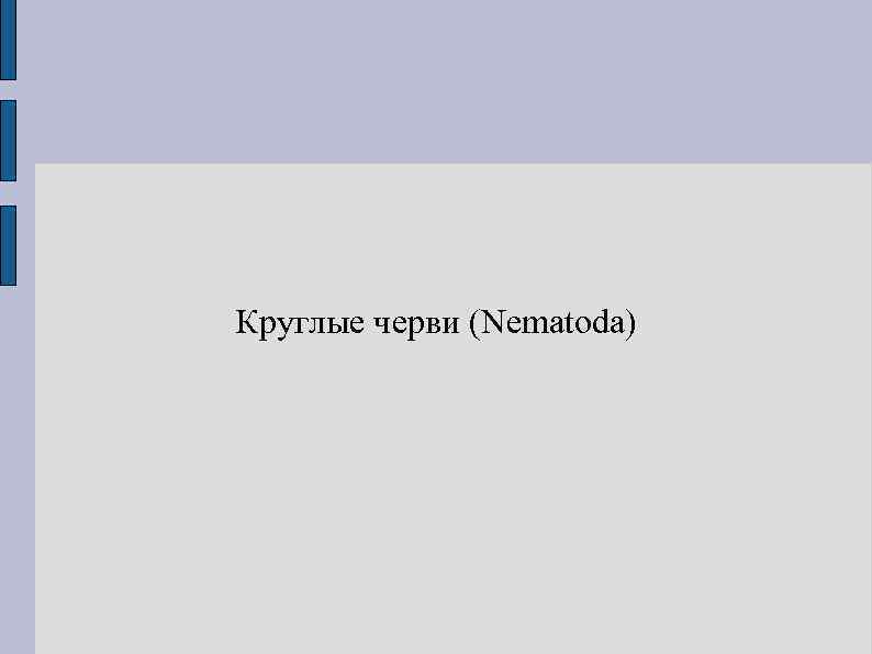Круглые черви (Nematoda) 