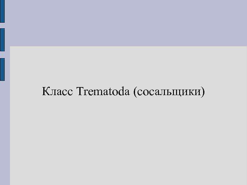 Класс Trematoda (сосальщики) 
