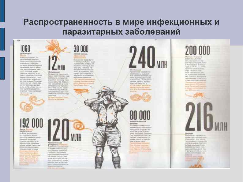 Распространенность в мире инфекционных и   паразитарных заболеваний 