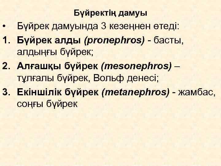    Бүйректің дамуы • Бүйрек дамуында 3 кезеңнен өтеді: 1. Бүйрек алды