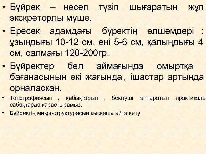  • Бүйрек – несеп  түзіп шығаратын жұп    экскреторлы мүше.