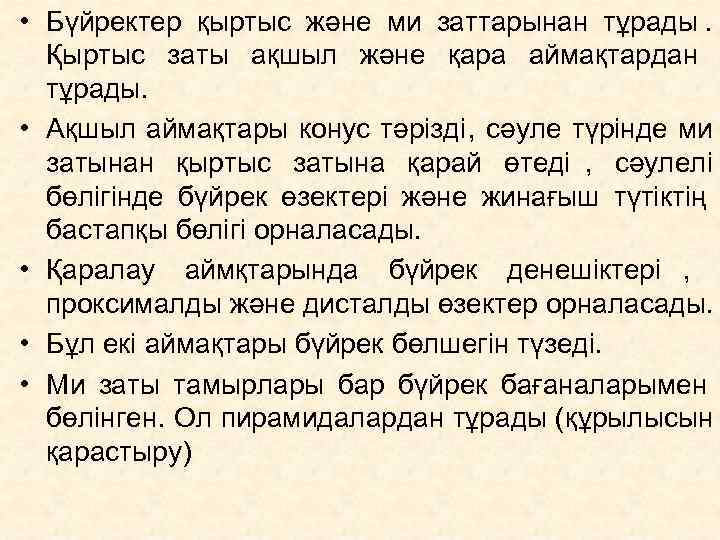  • Бүйректер қыртыс және ми заттарынан тұрады.     Қыртыс заты