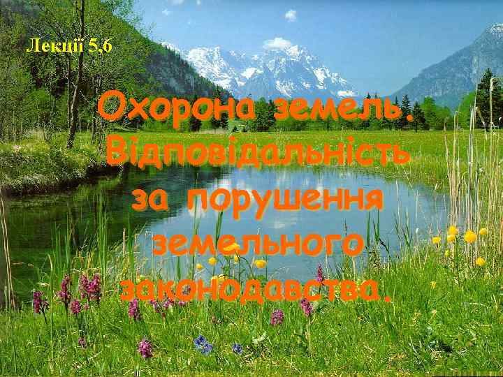 Лекції 5, 6  Охорона земель.   Відповідальність  за порушення  земельного