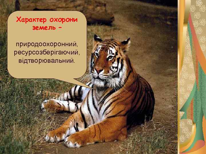 Характер охорони земель – природоохоронний, ресурсозберігаючий,  відтворювальний. 