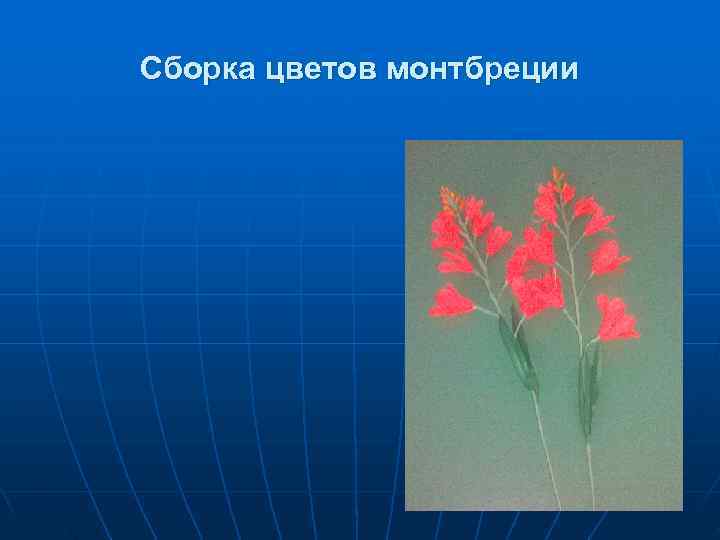 Сборка цветов монтбреции 