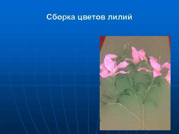 Сборка цветов лилий 